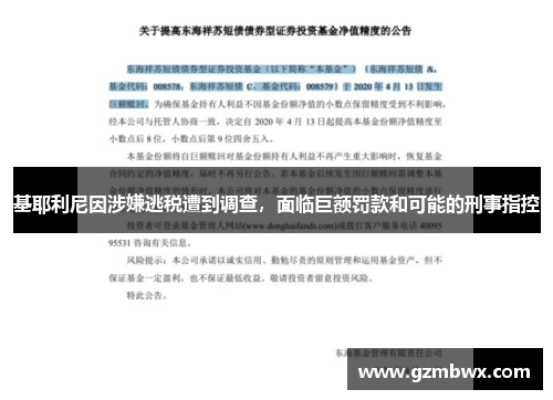 基耶利尼因涉嫌逃税遭到调查，面临巨额罚款和可能的刑事指控